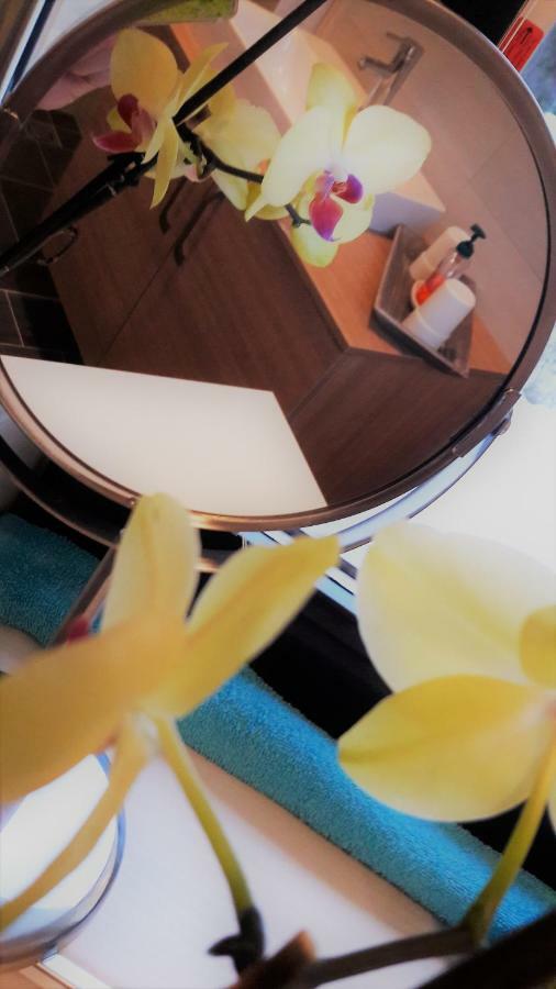 Ferienwohnung Michaela Lackenhof Luaran gambar